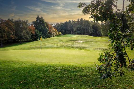 A green at Beamish Park Golf Club in the evening light